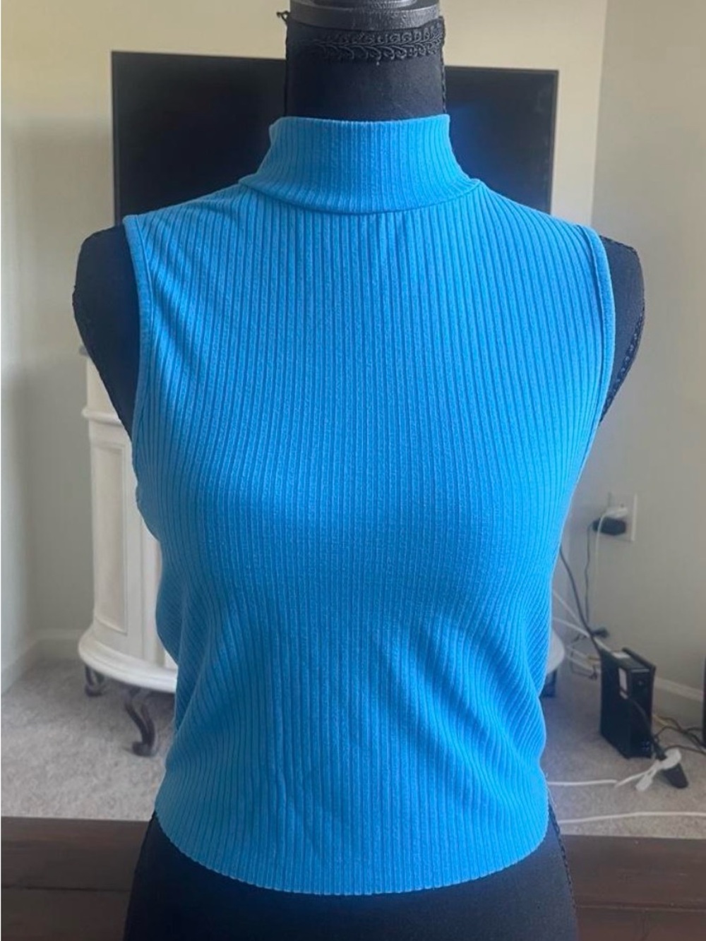 GB Ribbed Sleeveless Mock Neck Top - Blue
